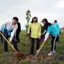 연초고등학교 이미지