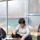 이정화농장 이미지