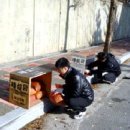 포남2동-13 이미지