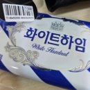 미디어크리에이터 | 창원 청년도전지원사업 &lt;미디어크리에이터&gt; 교육 후기