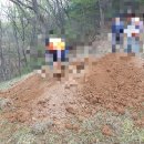 전국장묘개발