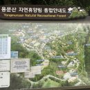 용문산자연휴양림 | [백패킹] 용문산자연휴양림 캠핑장 이용후기(야영장 데크존)