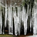 유진세탁소 이미지