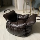 또바기 켄넬 | 강아지카시트 펫또바기 쿠션감대박