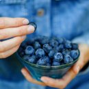 블루베리짐 이미지