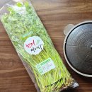 김밥천국 통일동산점 | 청도 미나리삼겹살 맛집, 한재미나리동산식당 후기