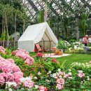 여미지식물원 이미지