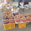 금성목장 이미지