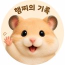 101번지 남산돈까스 내돈내산 솔직후기 롯데몰 수지점