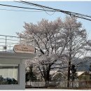 카페 언맨드아트