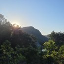세종농원
