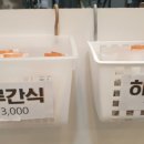 네발라이프 이미지