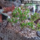 나도 쌤 강사양성과정 이미지