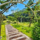 무주포레스트 이미지