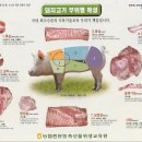 포천아도니스 C.C 이미지