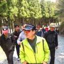 축령산아침 이미지