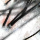 언니네미용실 이미지