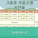 그로우크로스핏