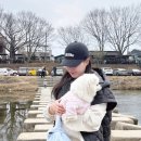 모자 | 연예인 캡모자 추천: 세븐틴 캡모자로 유명한 멜리트 모자 melite 모자 후기