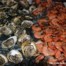맛있는 시푸드 *새우 및 굴요리 Oysters in a half shell and Cold Shrimp* 이미지