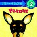 라하잉글리쉬 이미지