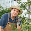 감사나무 이미지