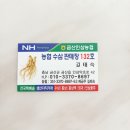 길가네금산인삼