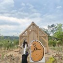 소양강 스크린 | [춘천 여행] 1박2일 짧고 굵은 춘천여행