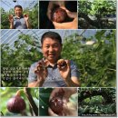 삼호농장3 이미지