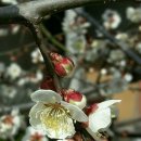 마중가는길 이미지