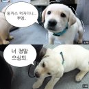 가발전성시대