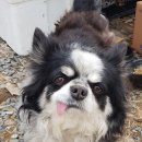 약산덧재길 이미지