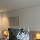 곰스테이리조트 이미지