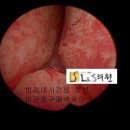 엘앤에스비뇨기과의원 이미지