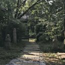 선원사지로 이미지