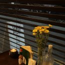 남성요리 | 청주 양식 맛집 추천 가경동 벤티포스티 이탈리안 요리 화덕피자 후기