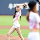 스텔라 이미지
