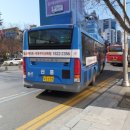 2.28기념 중앙공원 이미지