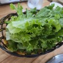 미가돈 | 양평고기맛집 미가돈 후기
