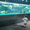 현대자동차일산점 | 경기 고양시 일산 수족관카페 오렌지아쿠아 다녀온 후기 | 아이와 먹이주기, 닥터피쉬 체험