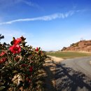 솔솔리조트 이미지