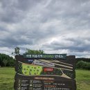 거창생태공원 화장실 | 캠핑 허용지역 ‘와룡지구 친수생태공원’ 차박 피크닉 후기｜화장실, 근처 마트 먹거리 추천 ★주의사항★