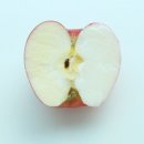 제이엘피트니스 영통점 이미지