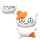웜홀스테이 이미지