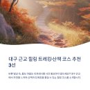 팔공산녹색길 숲길 1코스 | 대구 근교 힐링 트레킹·산책 코스 추천 3선