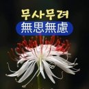 썬클럽 이미지