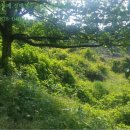 공이보건진료소 이미지