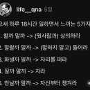 멍멍아 야옹 이미지