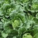 방림복지회관 이미지