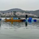 초평로 | 초평낚시터 좌대낚시터 태공좌대 후기